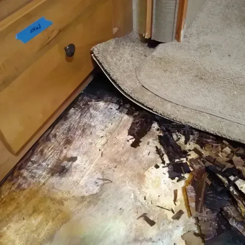 Wood Floor Water Damage in Ferndale, MD